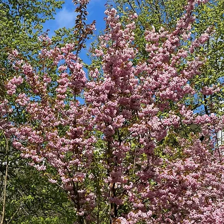 Daire Kapitanskie Blizej Morza Kolobrzeg