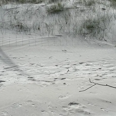 Kapitanskie Blizej Morza Kolobrzeg