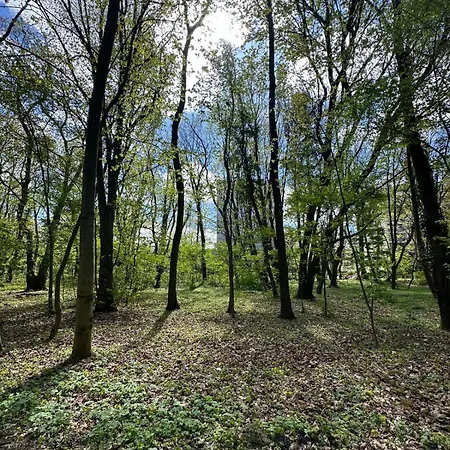 Kapitanskie Blizej Morza Daire Kolobrzeg