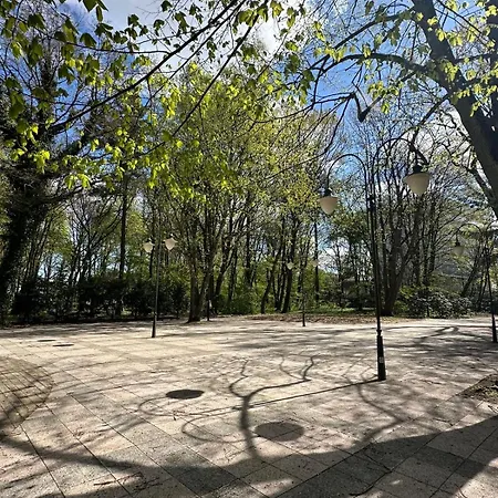 Kapitanskie Blizej Morza Daire