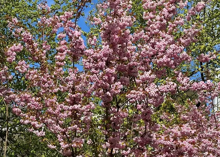 Apartmán Kapitanskie Blizej Morza Kolobřeh