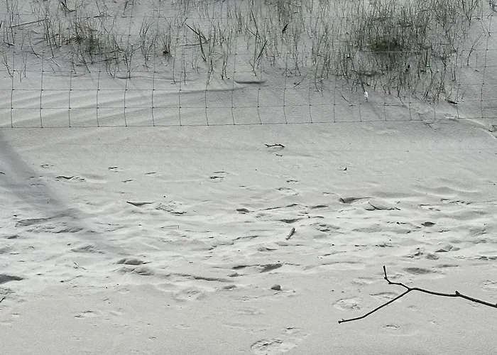 Kapitanskie Blizej Morza Kolobřeh